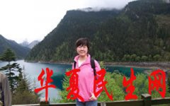 公民记者张展再被判刑四年 家属委托律师上诉